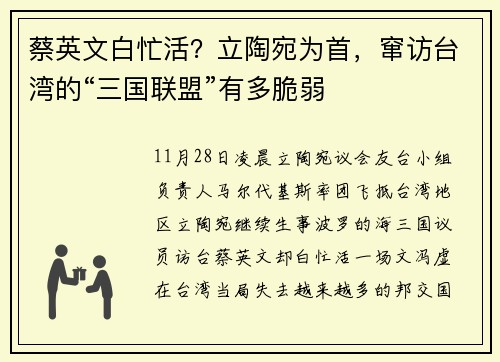 蔡英文白忙活？立陶宛为首，窜访台湾的“三国联盟”有多脆弱