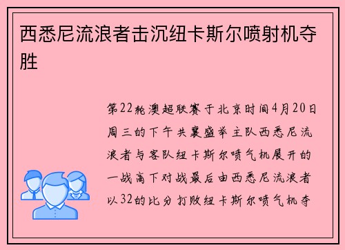 西悉尼流浪者击沉纽卡斯尔喷射机夺胜